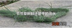 节节草新鲜还是干的泡水