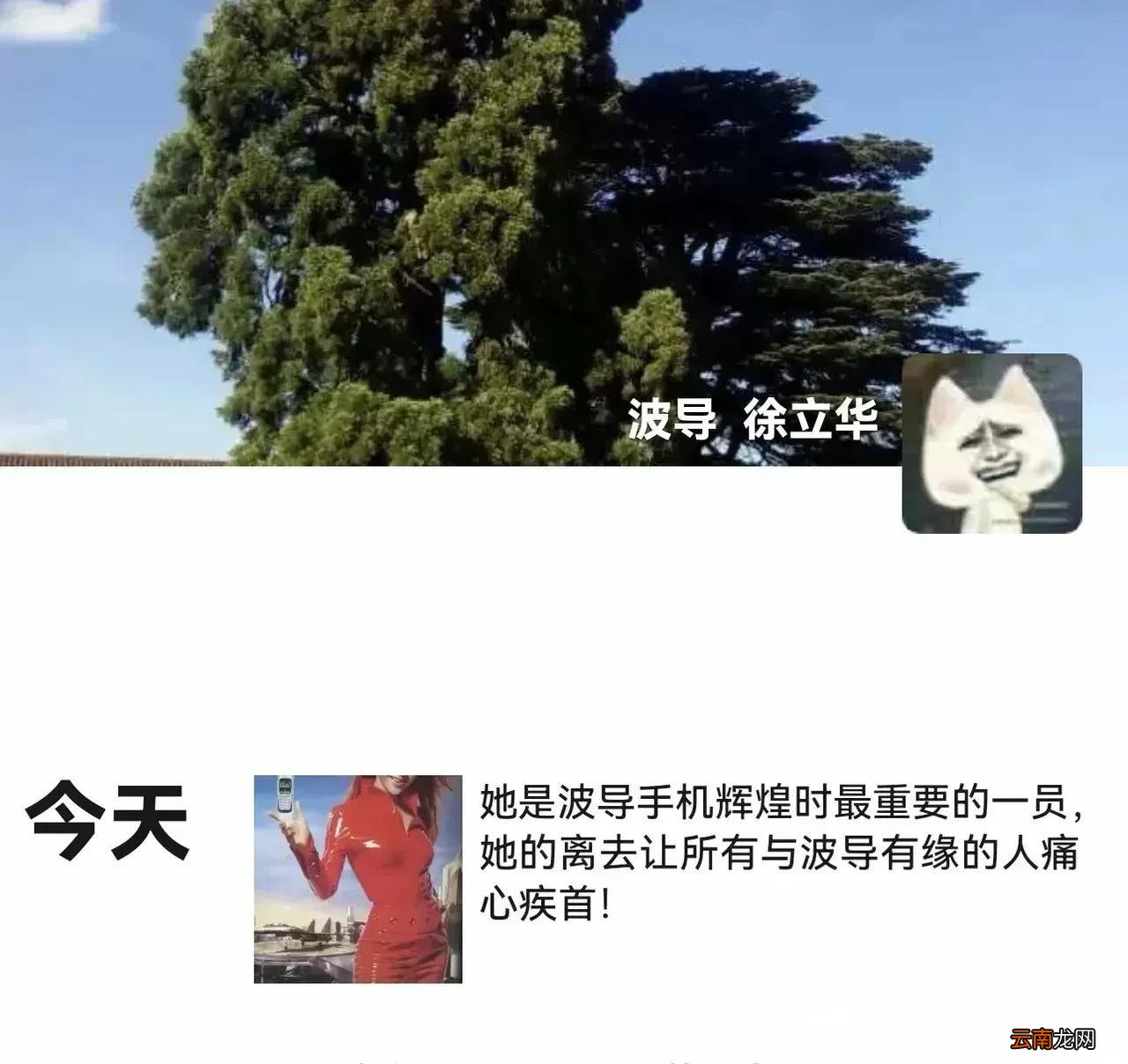 1999年，李玟一句：“波导手机，手机中的战斗机”，让波导手机一夜之间家喻户晓。