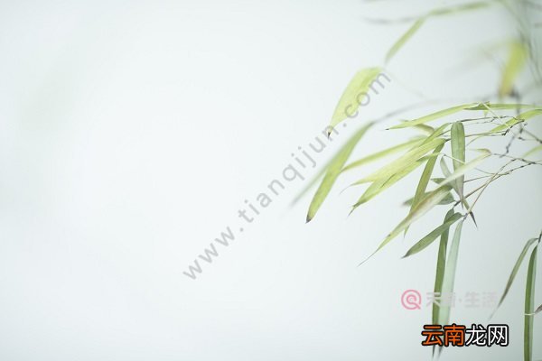 梅花与谁和谁并称为岁寒三友 谁与梅花一起被称为岁寒三友