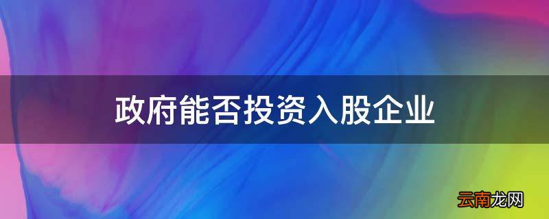 政府能否投资入股企业