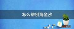 怎么辨别海金沙