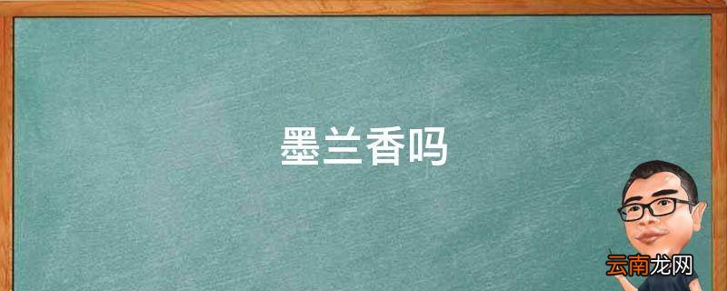 墨兰香吗