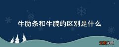 牛肋条和牛腩的区别是什么