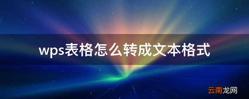 wps表格怎么转成文本格式