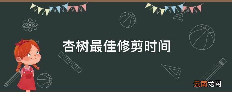 杏树最佳修剪时间