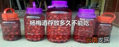 杨梅酒存放多久不能吃