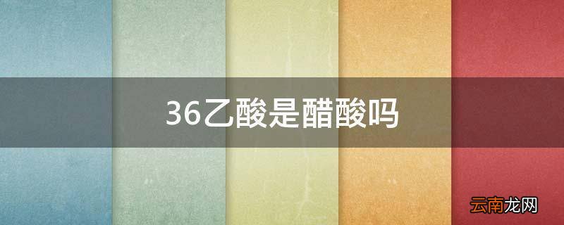 36乙酸是醋酸吗