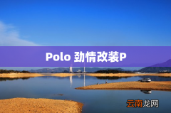 Polo 劲情改装P