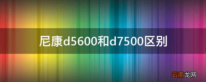 尼康d5600和d7500区别