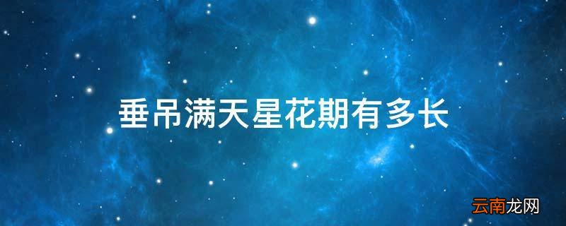 垂吊满天星花期有多长