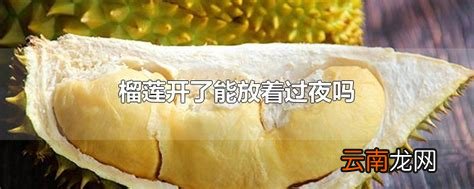 榴莲开了能放着过夜吗