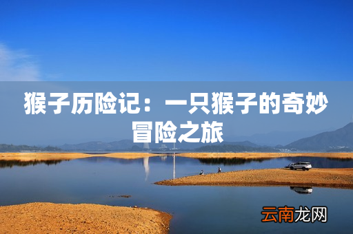 猴子历险记：一只猴子的奇妙冒险之旅