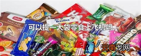 可以提一大袋零食上飞机吗