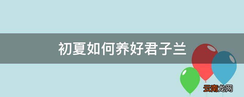 初夏如何养好君子兰