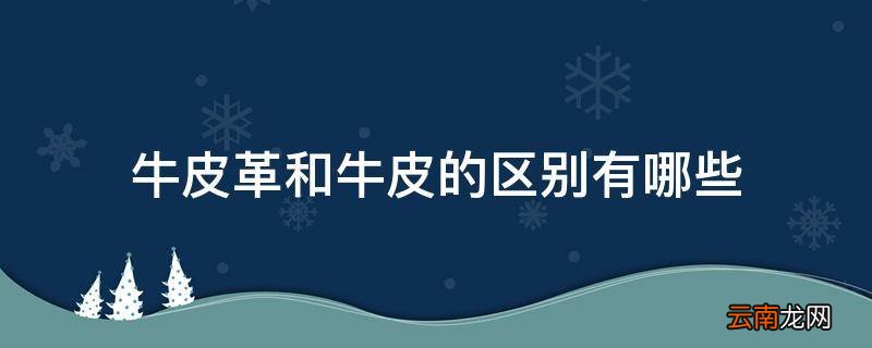 牛皮革和牛皮的区别有哪些