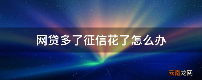 网贷多了征信花了怎么办