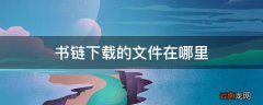 书链下载的文件在哪里