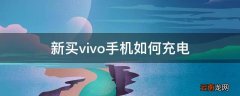 新买vivo手机如何充电