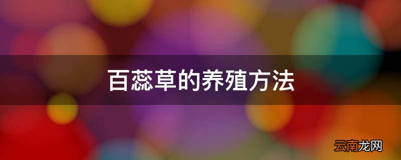 百蕊草的养殖方法