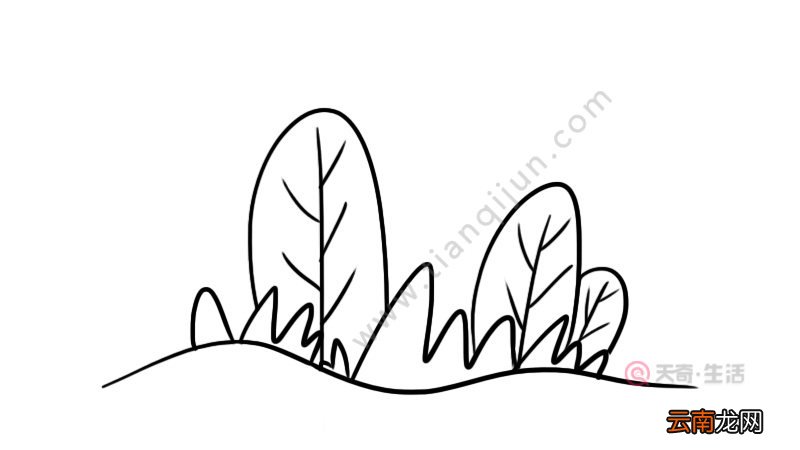 春天的景色简笔画