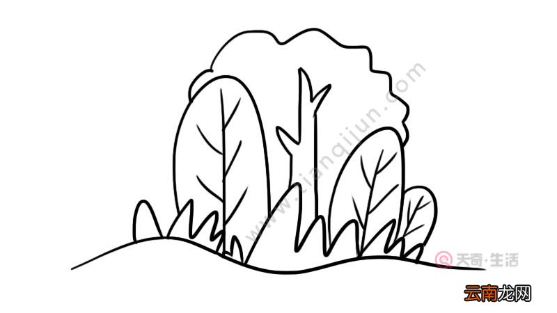 春天的景色简笔画