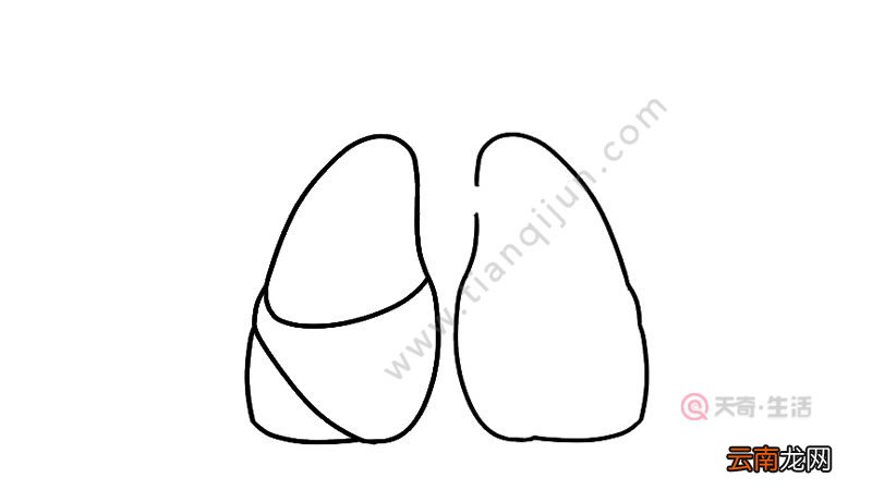 防治肺结核简笔画