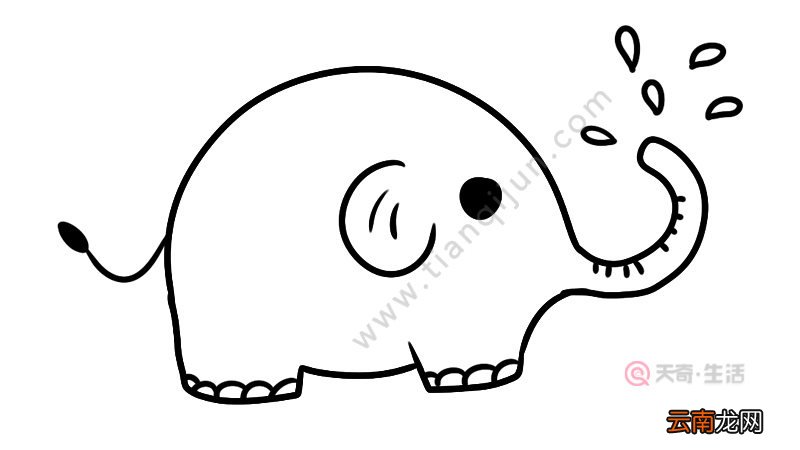 好画的简笔画