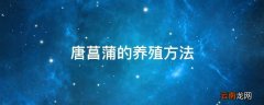 唐菖蒲的养殖方法
