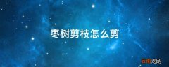枣树剪枝怎么剪