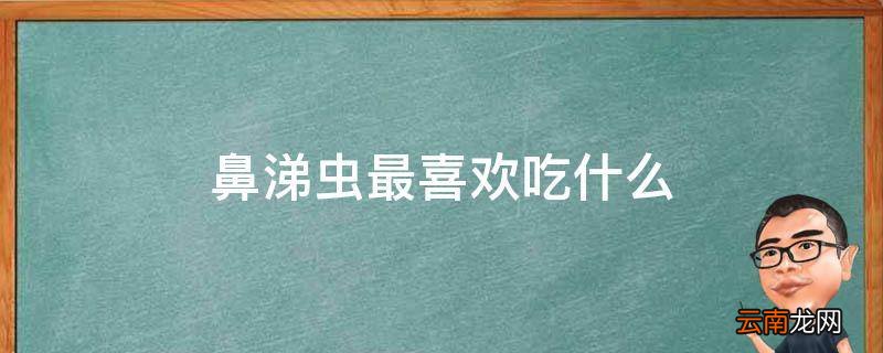 鼻涕虫最喜欢吃什么