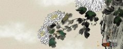 野菊杨万里颔联描绘了怎样的野菊形象 野菊表达了怎样的思想感情