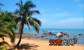 去三亚感受旖旎的热带风光 带上背包一起狂奔吧