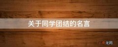 关于同学团结的名言