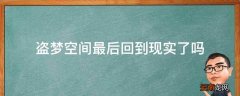 盗梦空间最后回到现实了吗