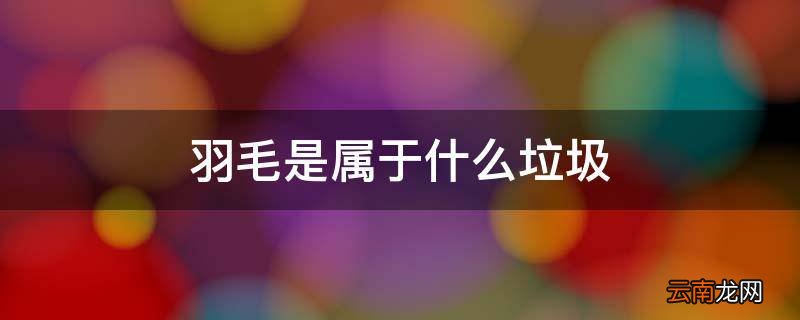 羽毛是属于什么垃圾