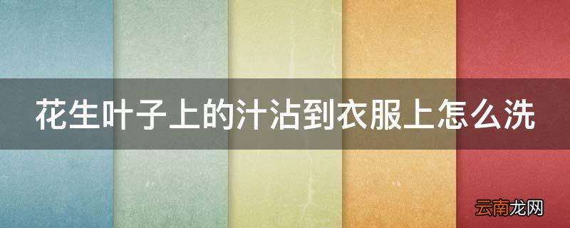 花生叶子上的汁沾到衣服上怎么洗