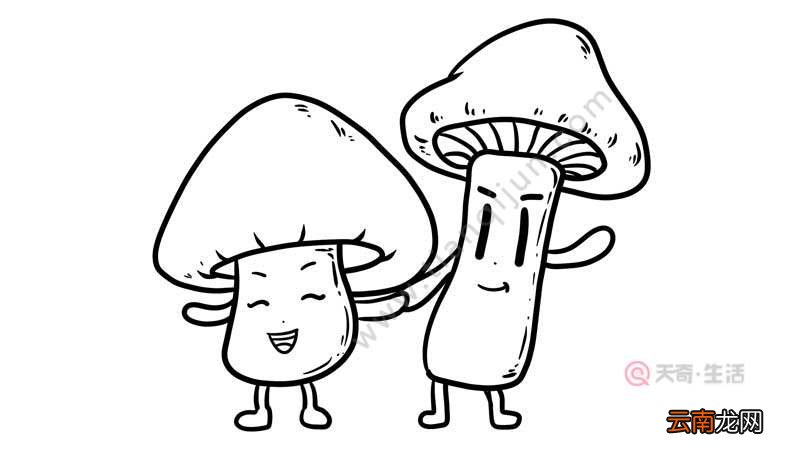 蘑菇简笔画 蘑菇简笔画步骤