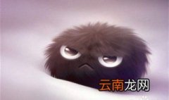 心烦的时候怎么办？要学会宣泄