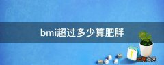 bmi超过多少算肥胖
