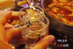 女人喝劲酒的功效与作用 女人喝劲酒的功效