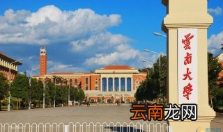 云南大学选课技巧，选择最适合你的课程