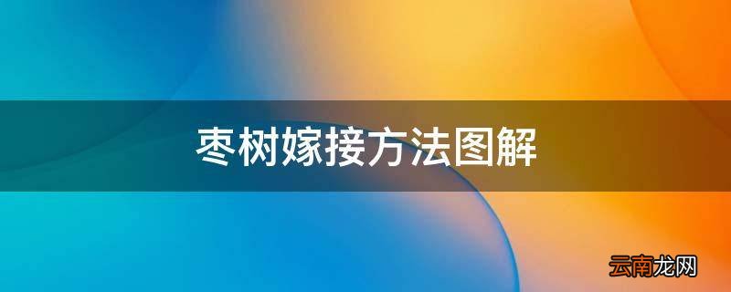 枣树嫁接方法图解