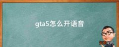 gta5怎么开语音
