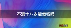 不满十八岁能借钱吗