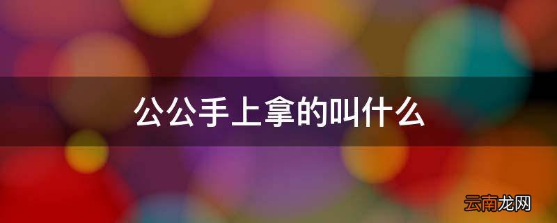 公公手上拿的叫什么