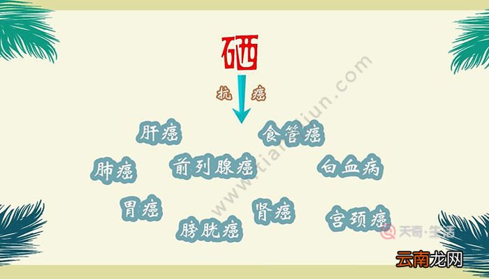 硒的作用 硒有什么作用