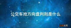 公交车抢方向盘判刑是什么