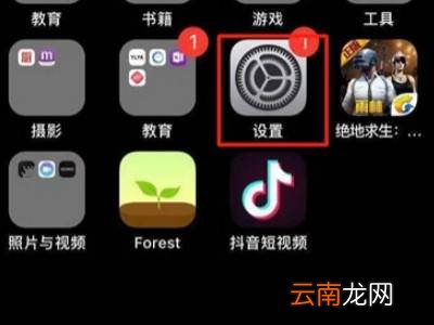 苹果12副卡偷跑流量怎么关