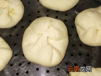 马齿苋做包子馅怎么做好吃