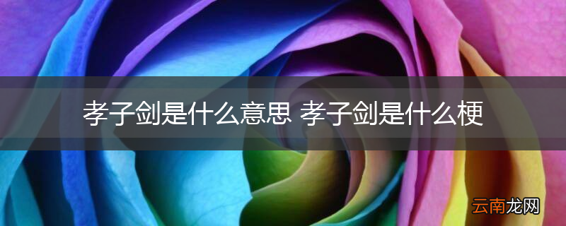 孝子剑是什么意思 孝子剑是什么梗